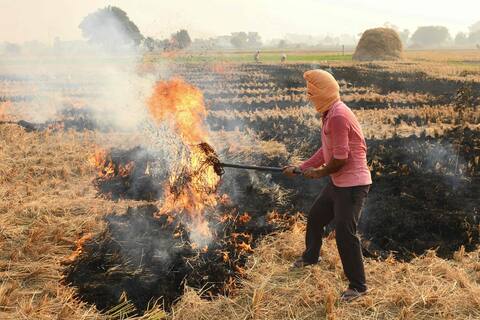 Contaminación: Nueva Delhi cierra escuelas y considera el confinamiento