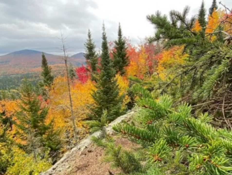 Les plus belles randonnées automnales 