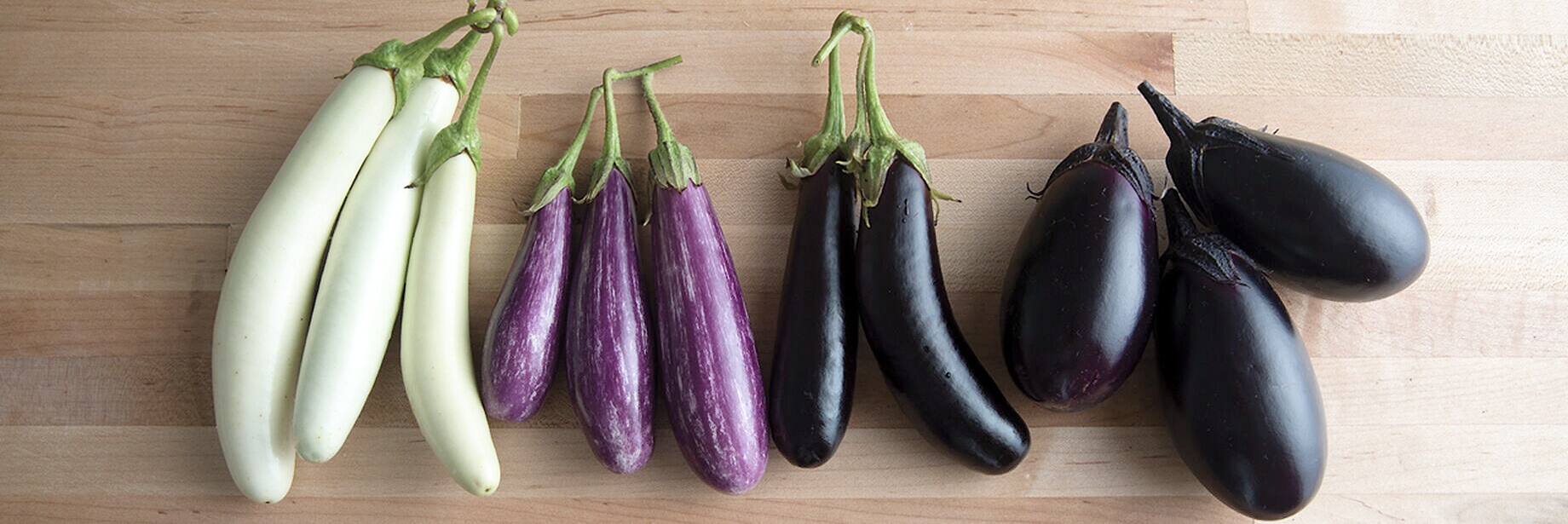 Mini aubergines grosse récolte! Le Journal de Montréal