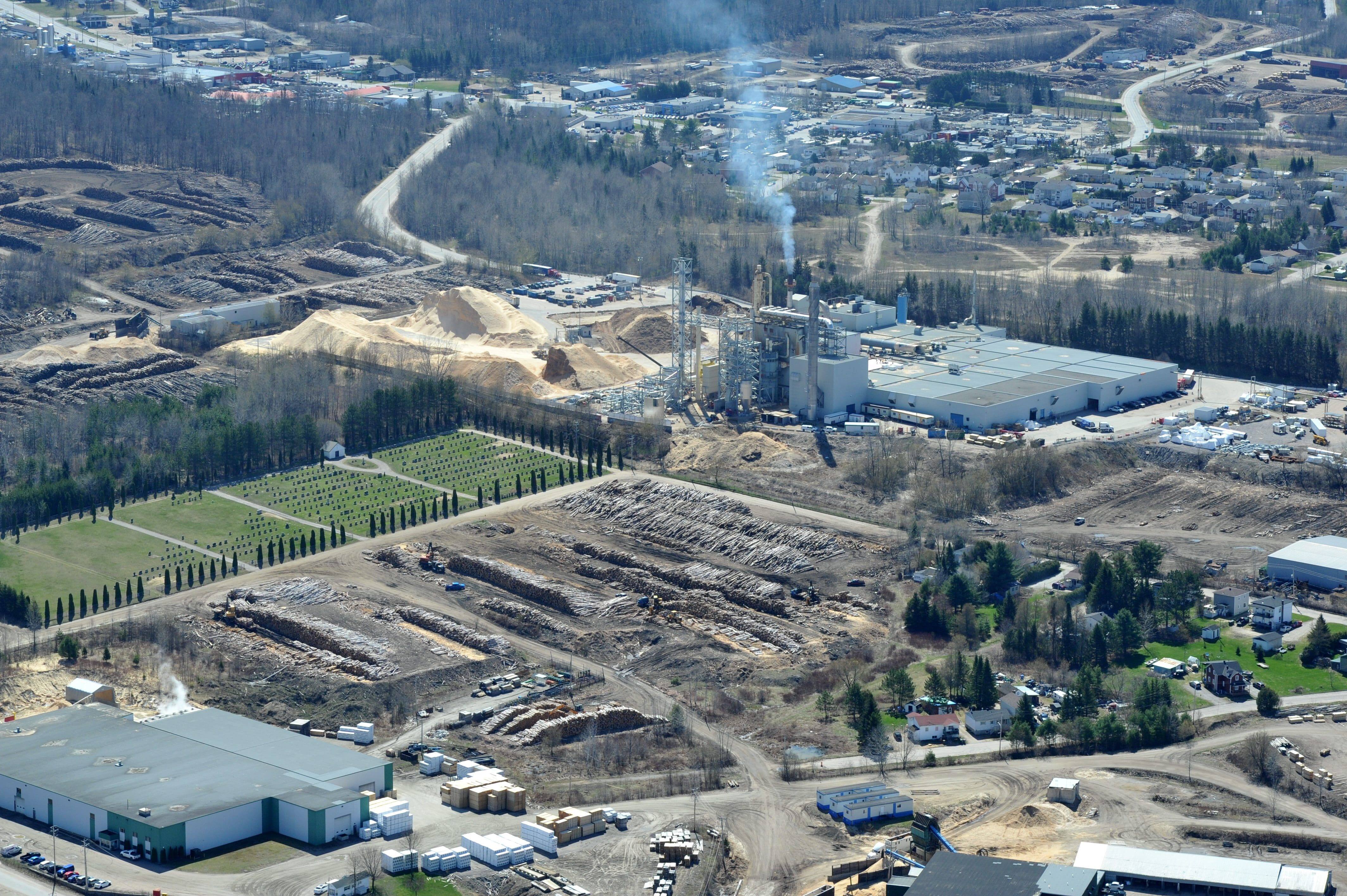 [EN IMAGES] Industrie forestière les cours à bois sont pleines JDM