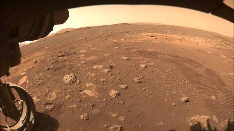 Farah Ali Bay Farah Ali Bay