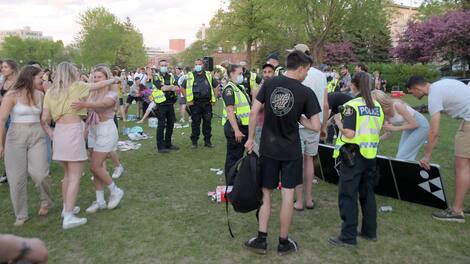 FD-Park Victoria Huge Crowd Police surveyed the park, but several groups did not intervene despite the distance.