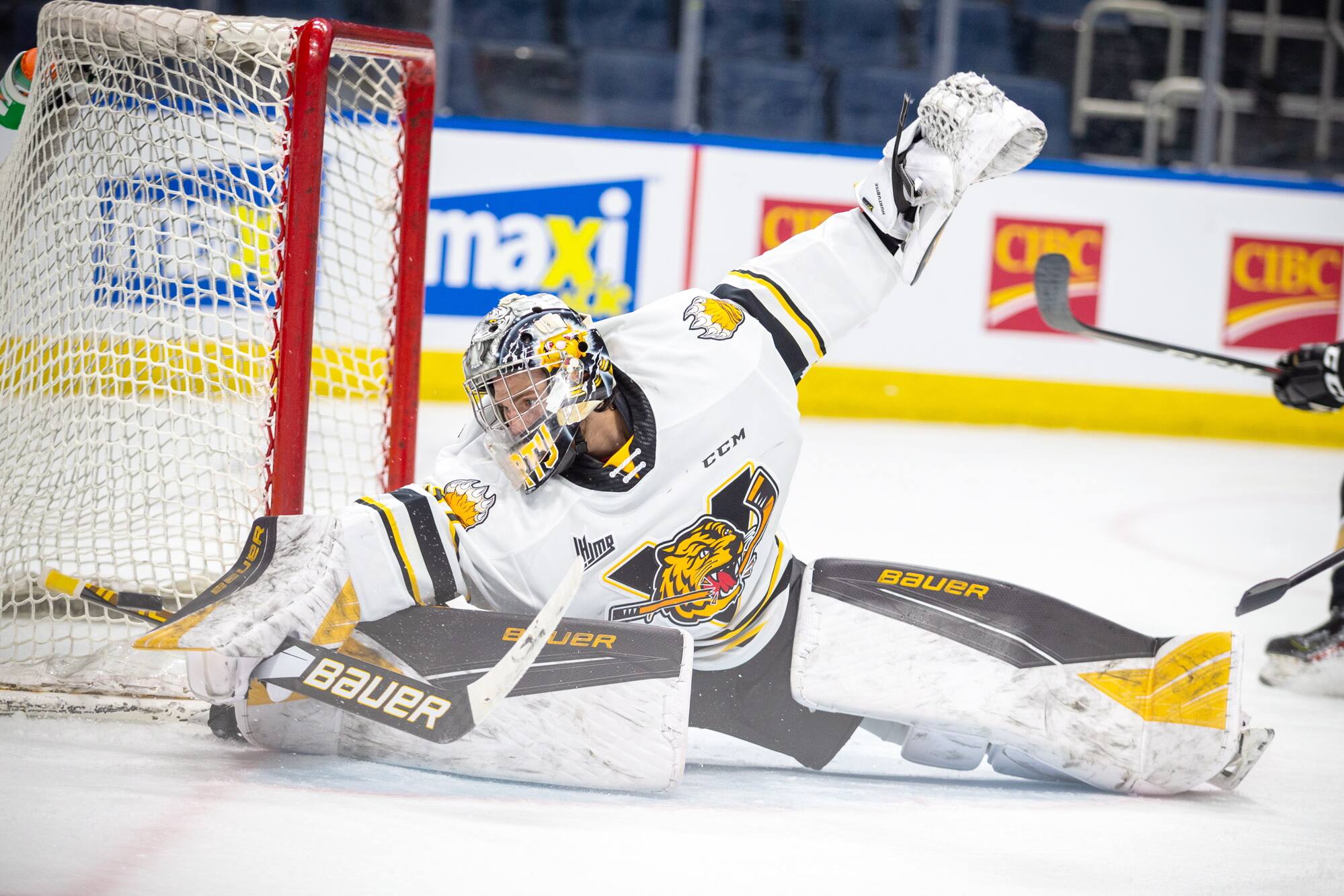 LHJMQ: les Tigres rejoignent les Foreurs en finale - Vimarsana News