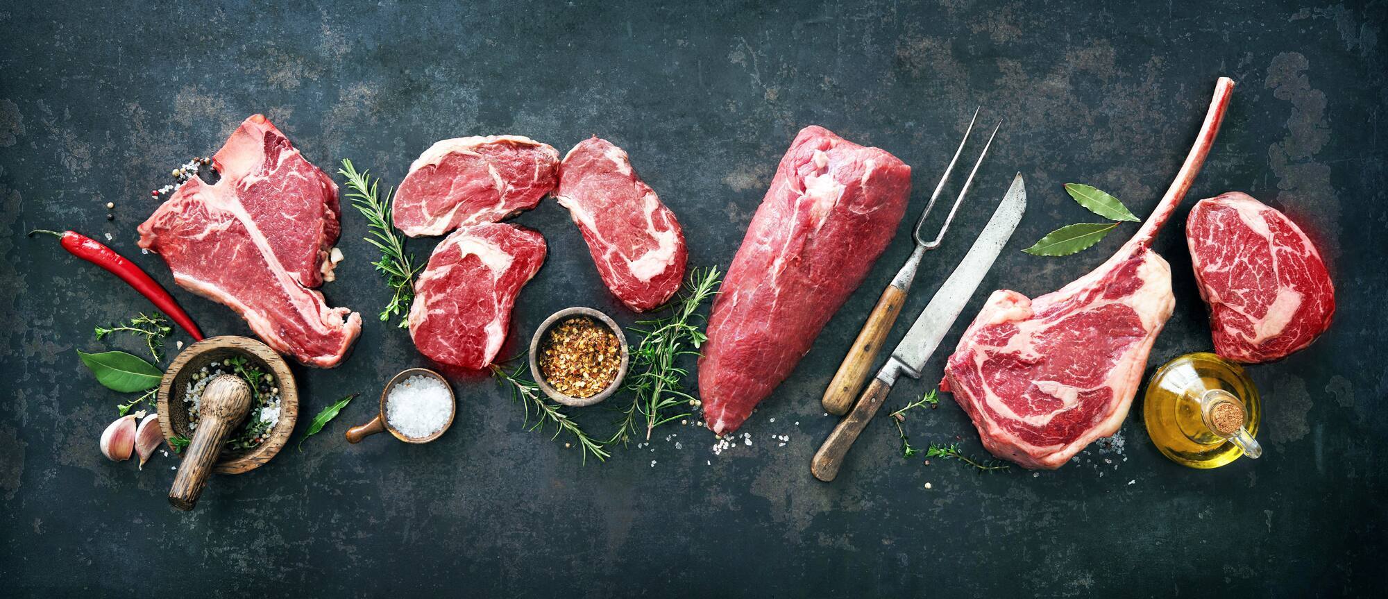 Le Sanglier Mange T Il De La Viande