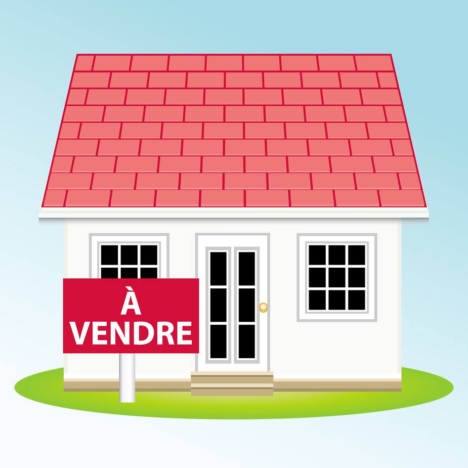 Image principale de l'article Les investisseurs étrangers interdits d'acheter
