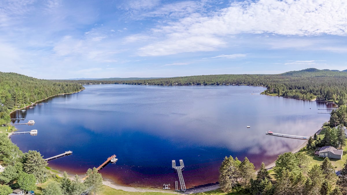 Domaine Du Lac Stellan Québec Canada Les pires lacs du Québec: «Nos lacs sont orphelins» | TVA Nouvelles