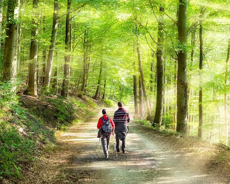 Aktivurlaub im Frühling bei einer Wanderung im Wald Aktivurlaub im Frühling bei einer Wanderung im Wald
