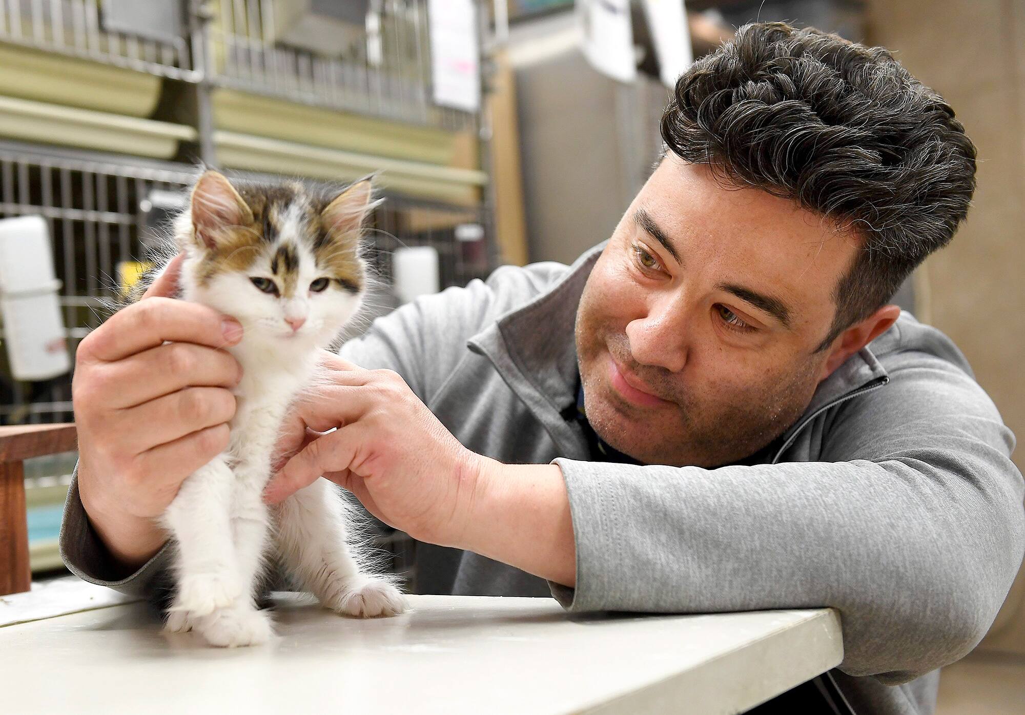 Animaux De Compagnie Vague D Abandons Redoutee Apres Une Baisse De L Engouement Jdq