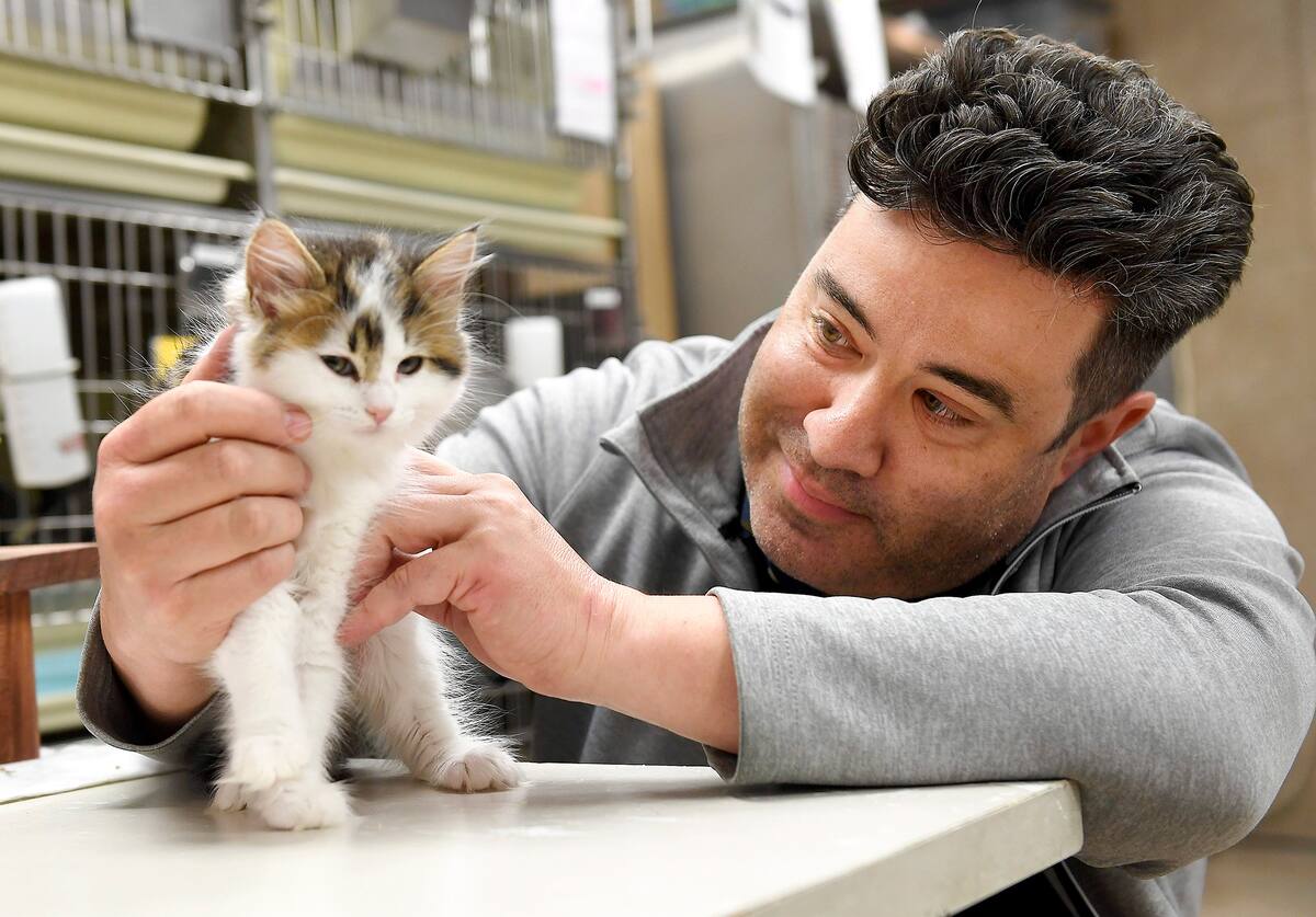 Animaux De Compagnie Vague D Abandons Redoutee Apres Une Baisse De L Engouement Jdq Animaux De Compagnie Vague D Abandons Redoutee Apres Une Baisse De L Engouement Jdq