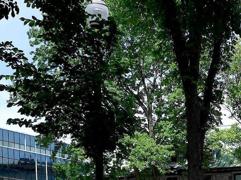 Musée national des beaux-arts du Québec: la destination muséale de l'été - Vimarsana News