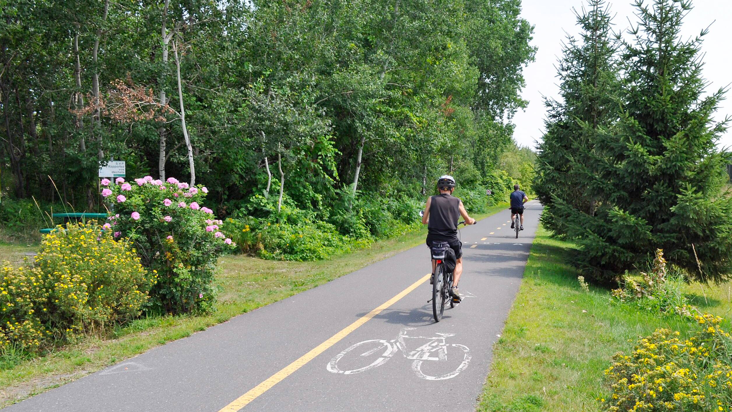 Trois pistes cyclables remarquables Le Journal de Québec