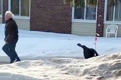 Cabana March 5, 2024