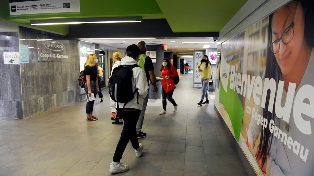 Les études collégiales et la sous-scolarisation des garçons québécois