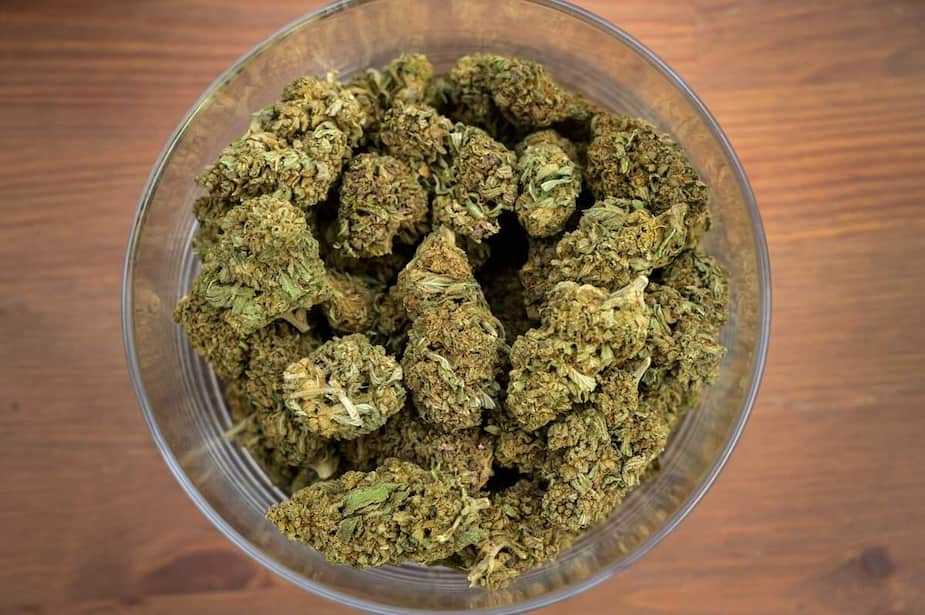 Image principale de l'article Le cannabis pourrait vous protéger contre la COVID