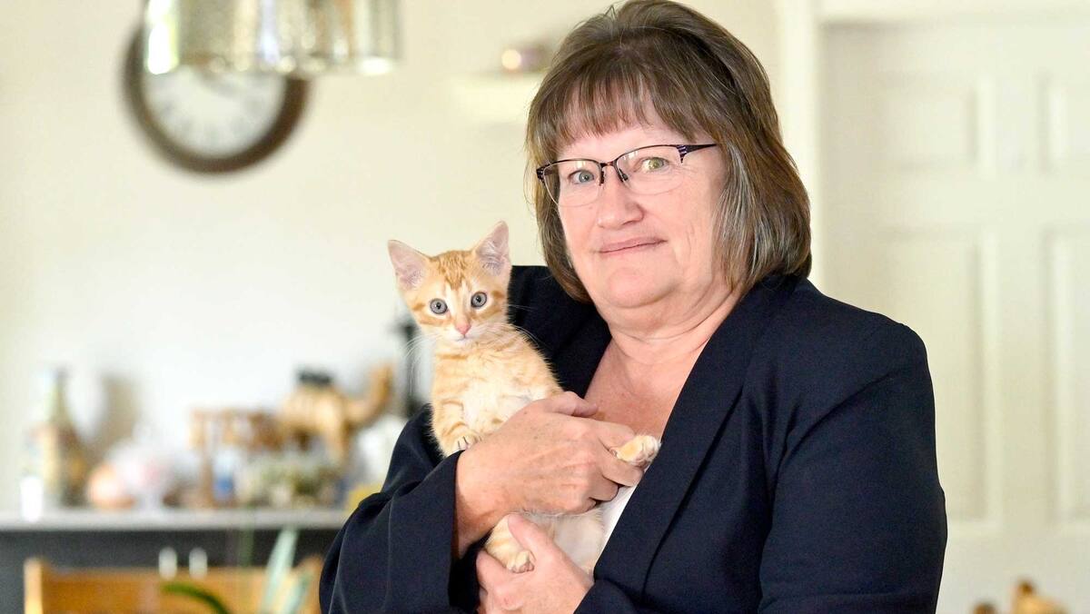 Une Fausse Benevole Vend Des Chatons Malades Et Plein De Puces Tva Nouvelles Une Fausse Benevole Vend Des Chatons Malades Et Plein De Puces Tva Nouvelles