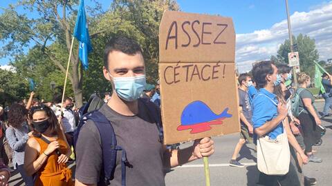 GEN-MANIFESTATION-CLIMATE