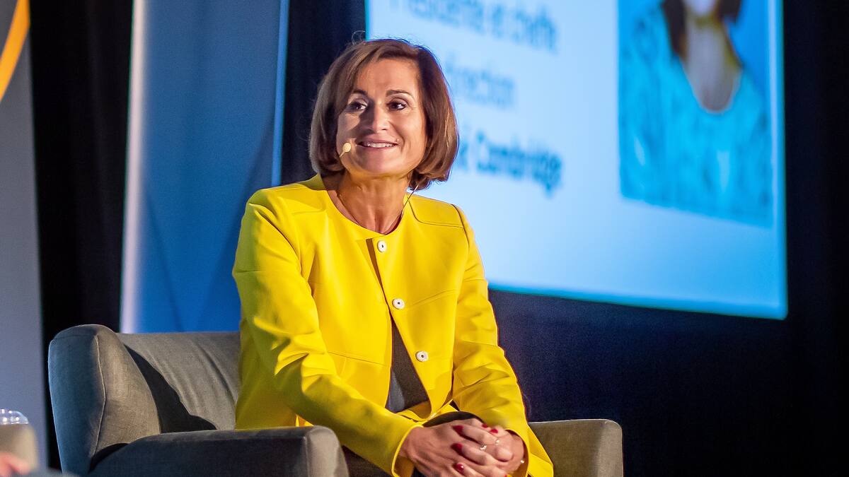 Nouveau stade de baseball: un oui à certaines conditions pour Ivanhoé Cambridge