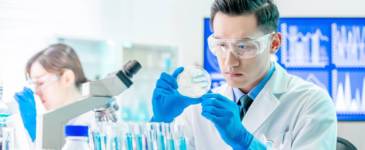 Les réservoirs naturels de coronavirus