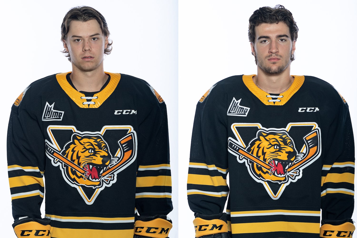 Mathieu Lessard «Le hockey mis en échec»: 20 intervenants du monde du sport expliquent ...