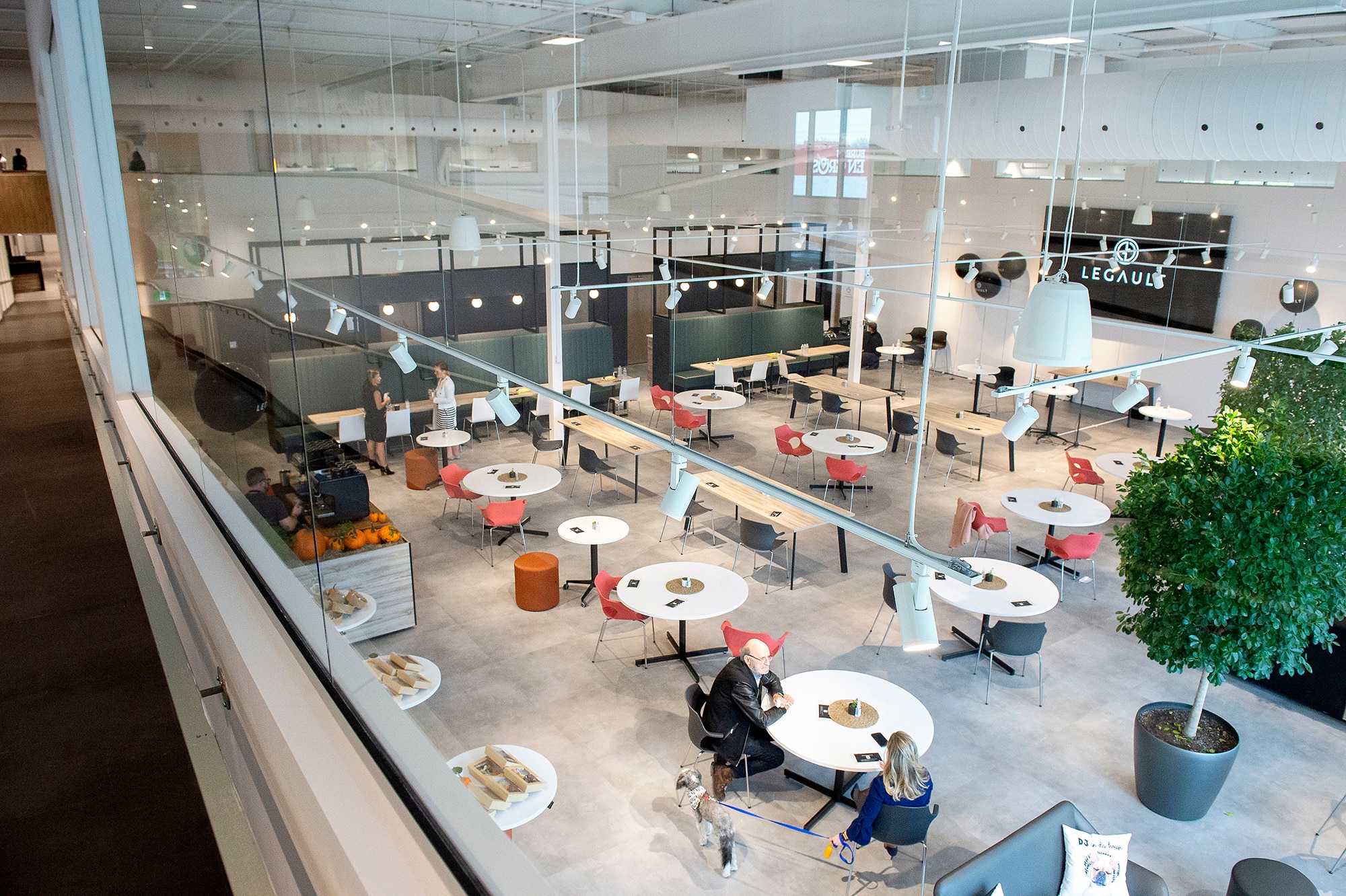 Un nouveau si&egrave;ge social qui a de la gueule pour Mondou