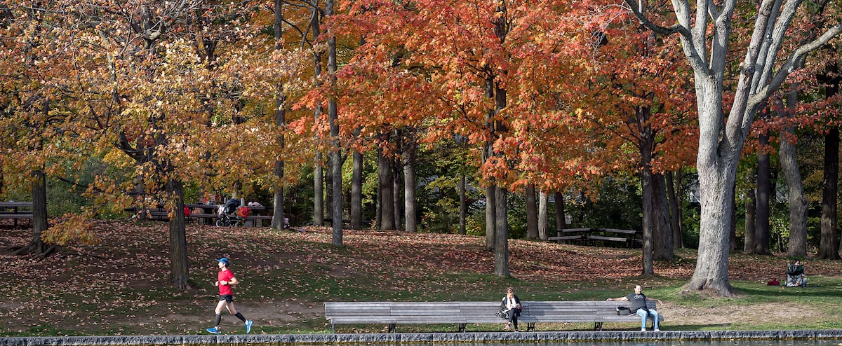 Le paysage automnal dans le sud du Québec pourrait changer
