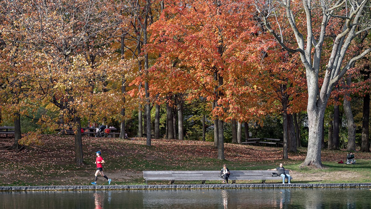 Le paysage automnal dans le sud du Québec pourrait changer