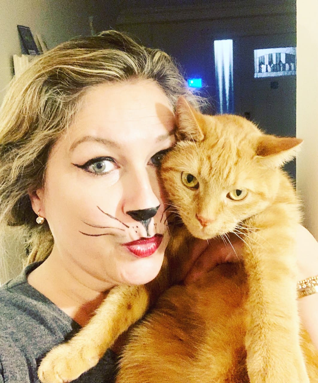 Les Chats De Saskia Thuot Le Journal De Montreal