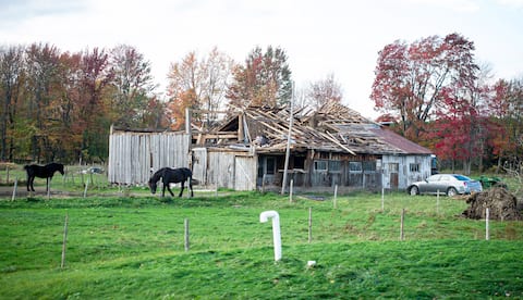 This building didn't look like much in Dunham, in the eastern suburbs, after the vagaries of Saturday's weather.