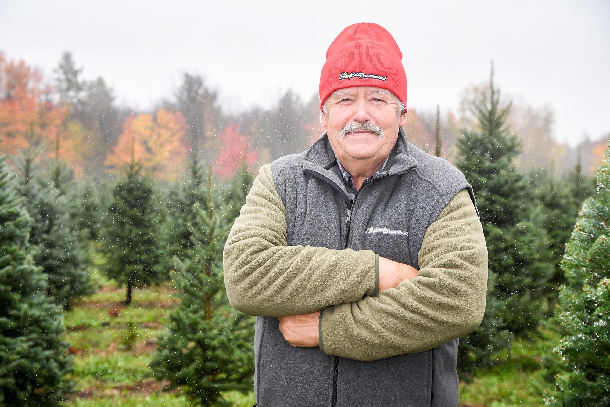 Une p&eacute;nurie de sapins de No&euml;l pire que jamais