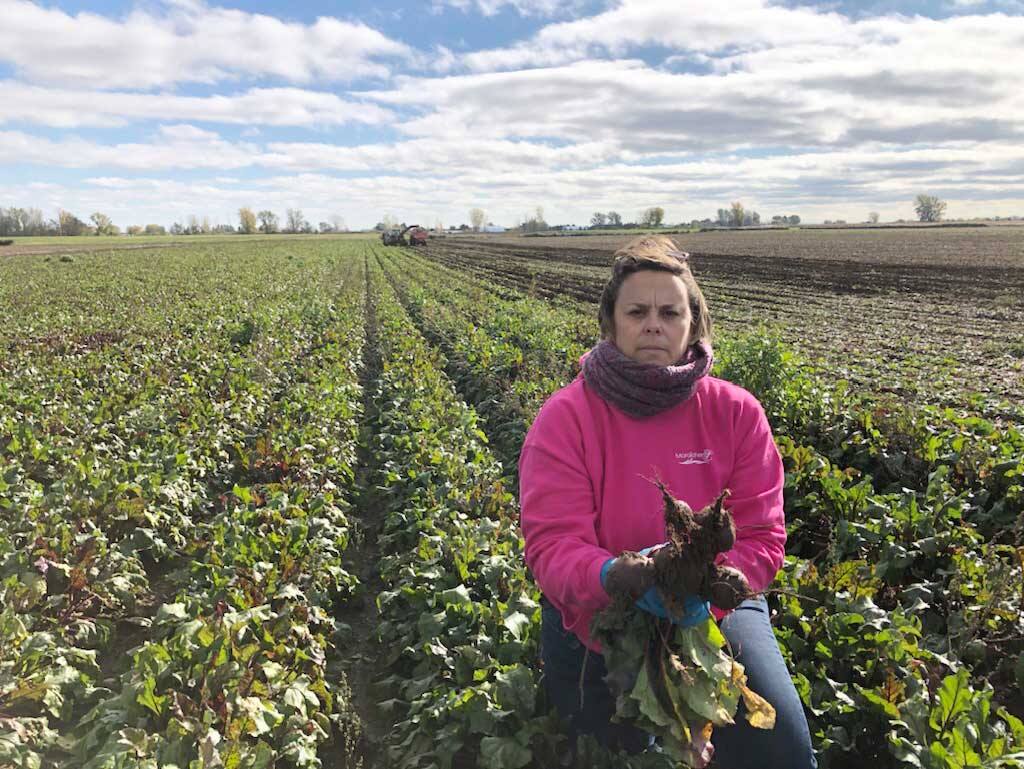 Travailleurs &eacute;trangers: l&rsquo;inertie du f&eacute;d&eacute;ral s&egrave;me le chaos dans nos fermes