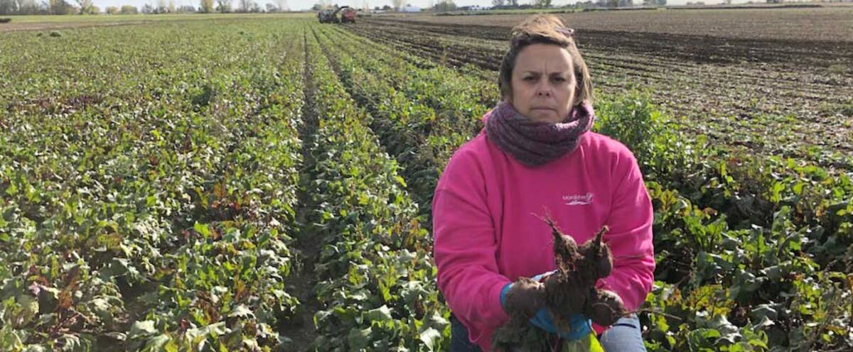 Travailleurs étrangers: l’inertie du fédéral sème le chaos dans nos fermes