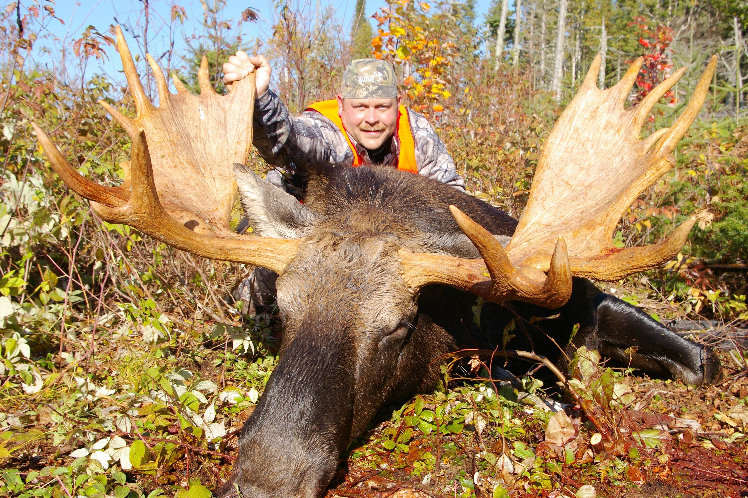 Les chasseurs recommencent à donner leur gibier aux banques alimentaires