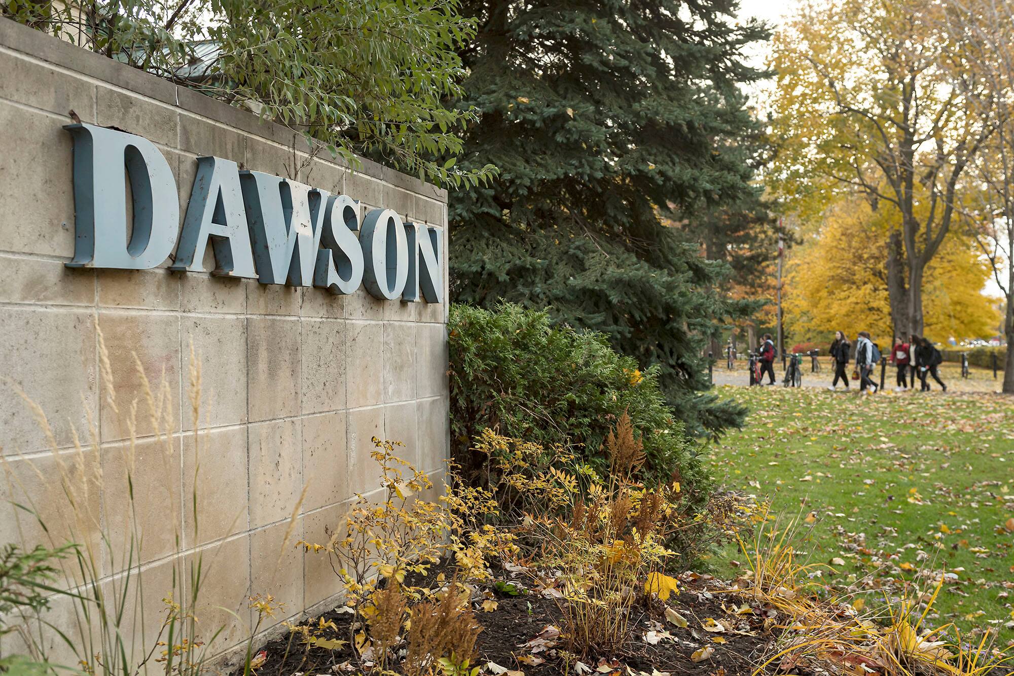 Nouvelles exigences en fran&ccedil;ais: la r&eacute;forme de la loi 101 cr&eacute;e tout un casse-t&ecirc;te &agrave; Dawson