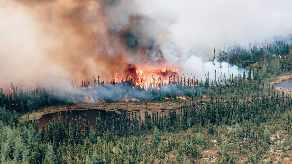 Incendie de forêt sur la Côte-Nord: le brasier a progressé au cours de la journée