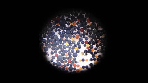 Des microplastiques dans le cerveau