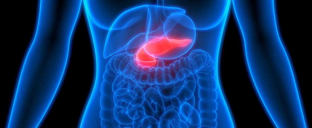 Développement du cancer du pancréas: l’importance des gras alimentaires