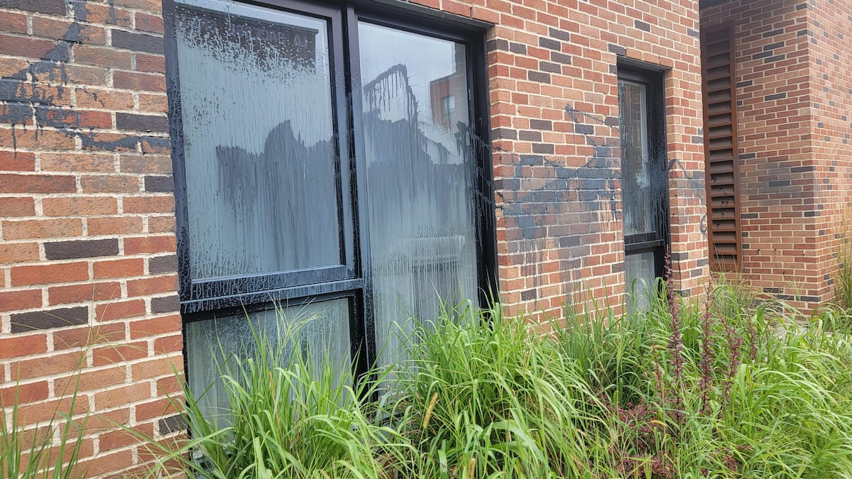 EN IMAGES | «C’est pas mon problème»: des locataires furieux que leur immeuble soit vandalisé