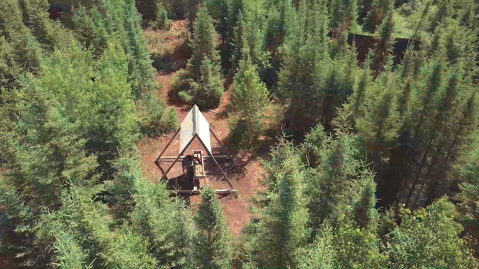 Rendu &agrave; clo&icirc;trer nos caribous