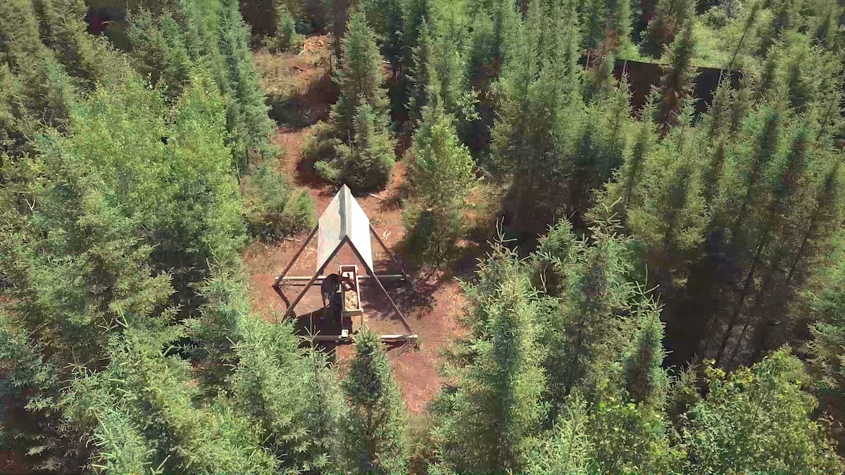 Rendu à cloîtrer nos caribous
