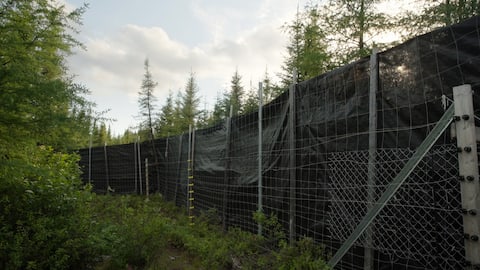 Les clôtures sont construites en métal ; poteaux et treillis de type gibier.