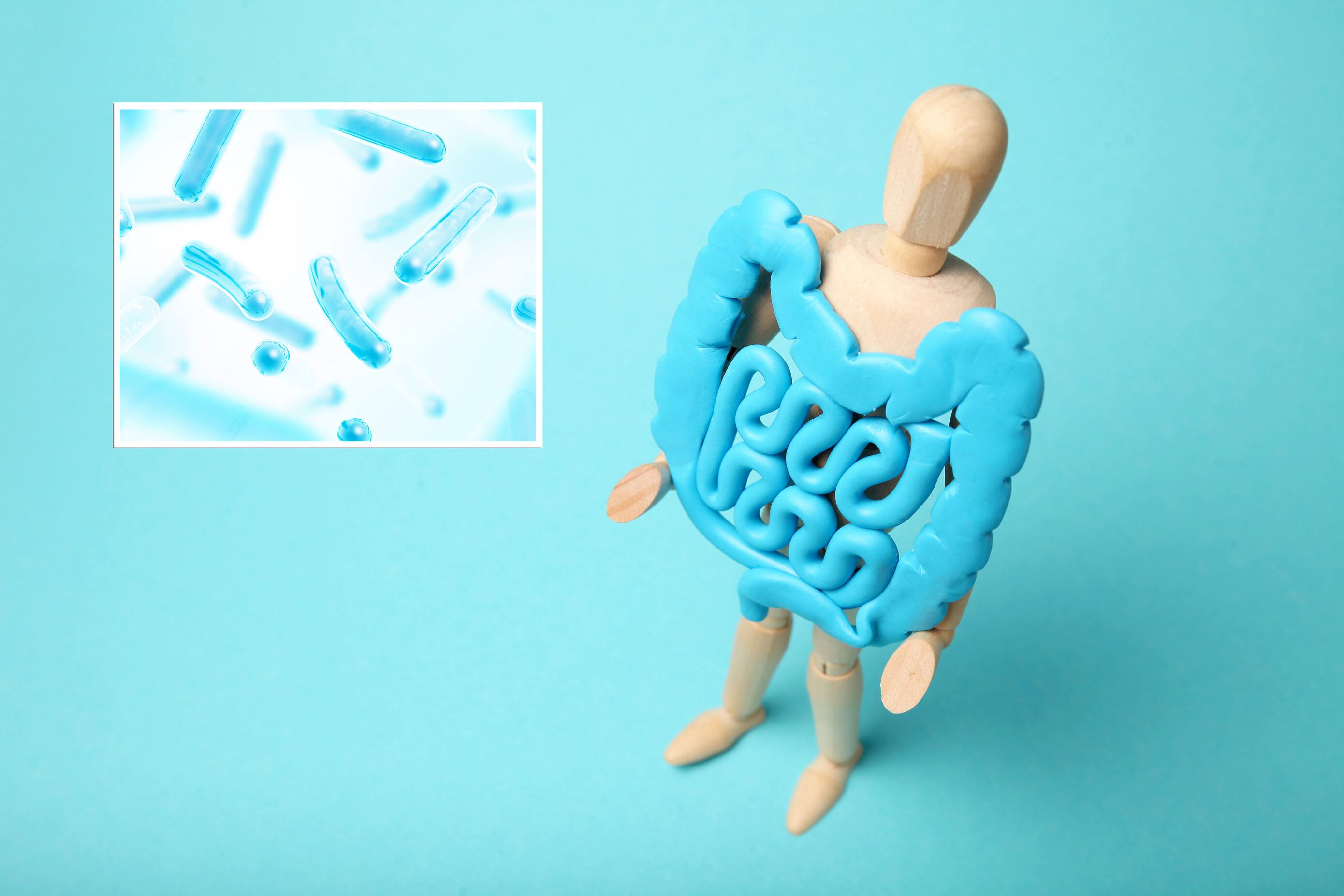 Microbiote et probiotiques