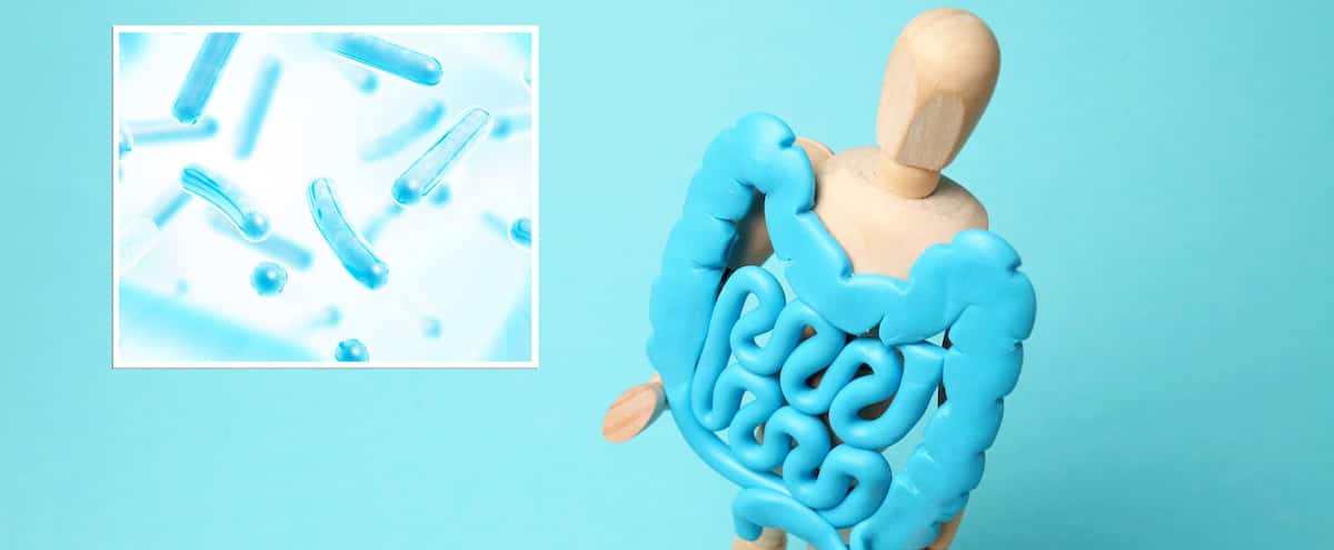 Microbiote et probiotiques