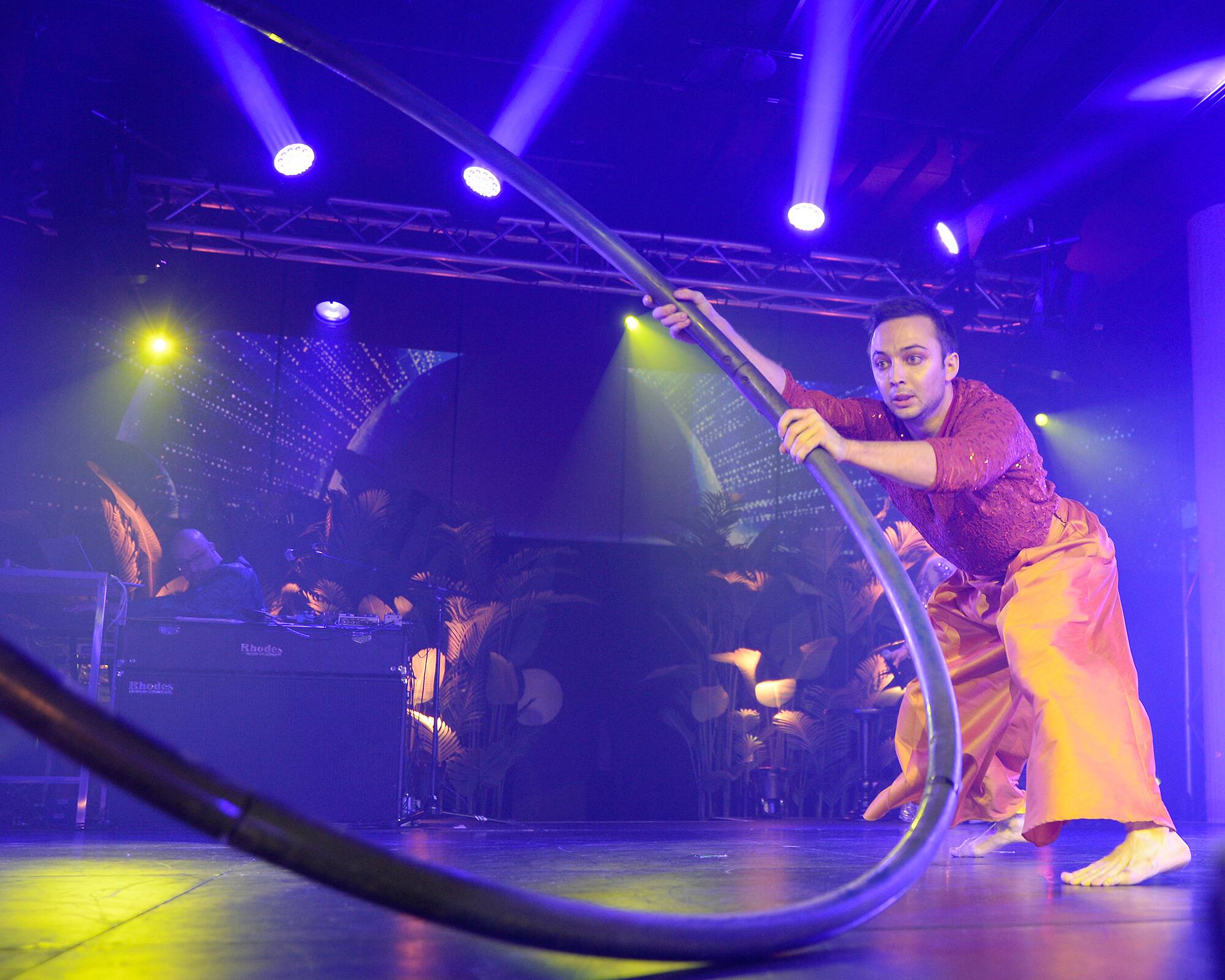 Cirque &Eacute;loize: Ode aux &eacute;toiles