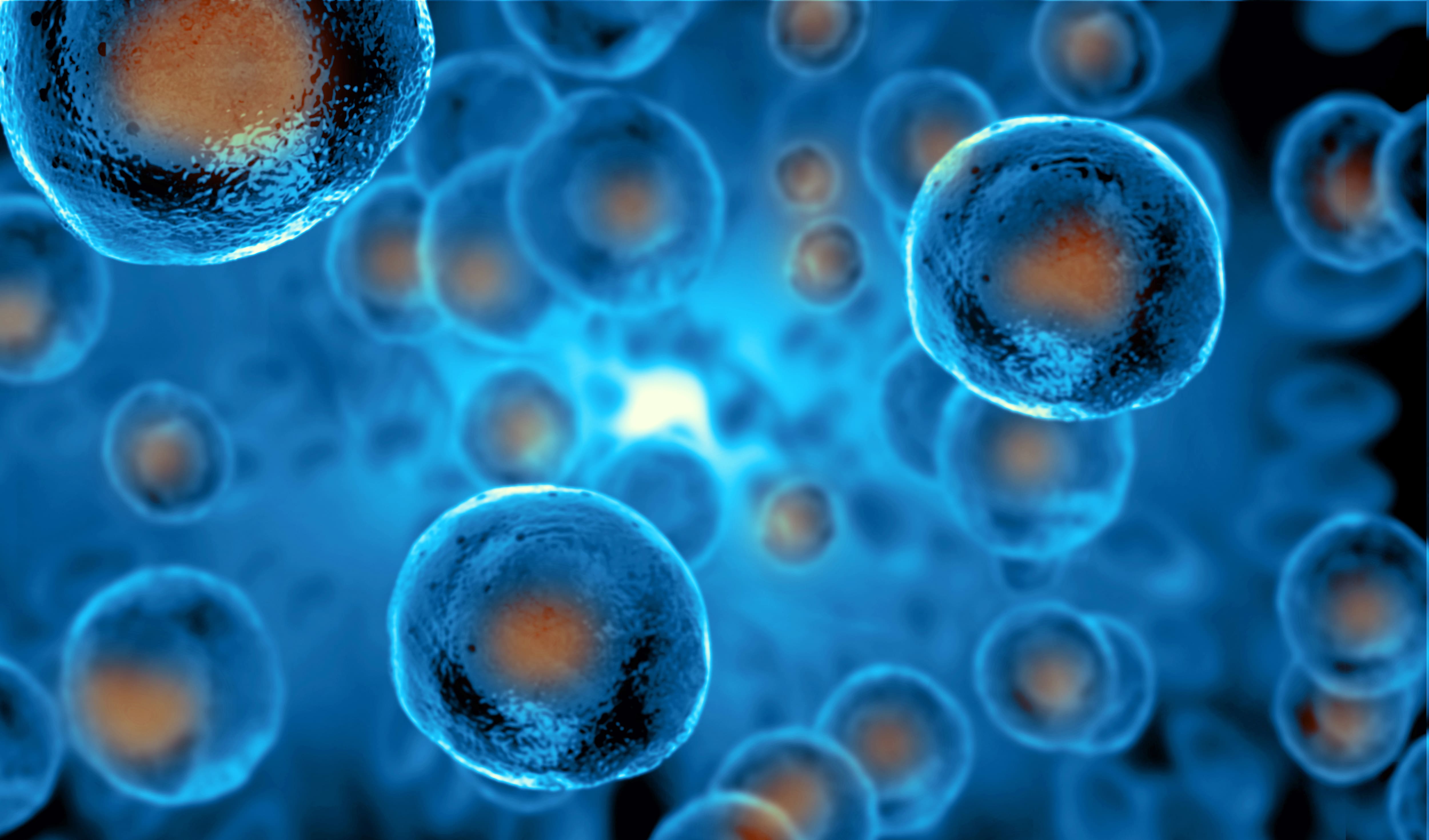 L&rsquo;immunit&eacute; cellulaire, un alli&eacute; pr&eacute;cieux pour combattre l&rsquo;Omicron