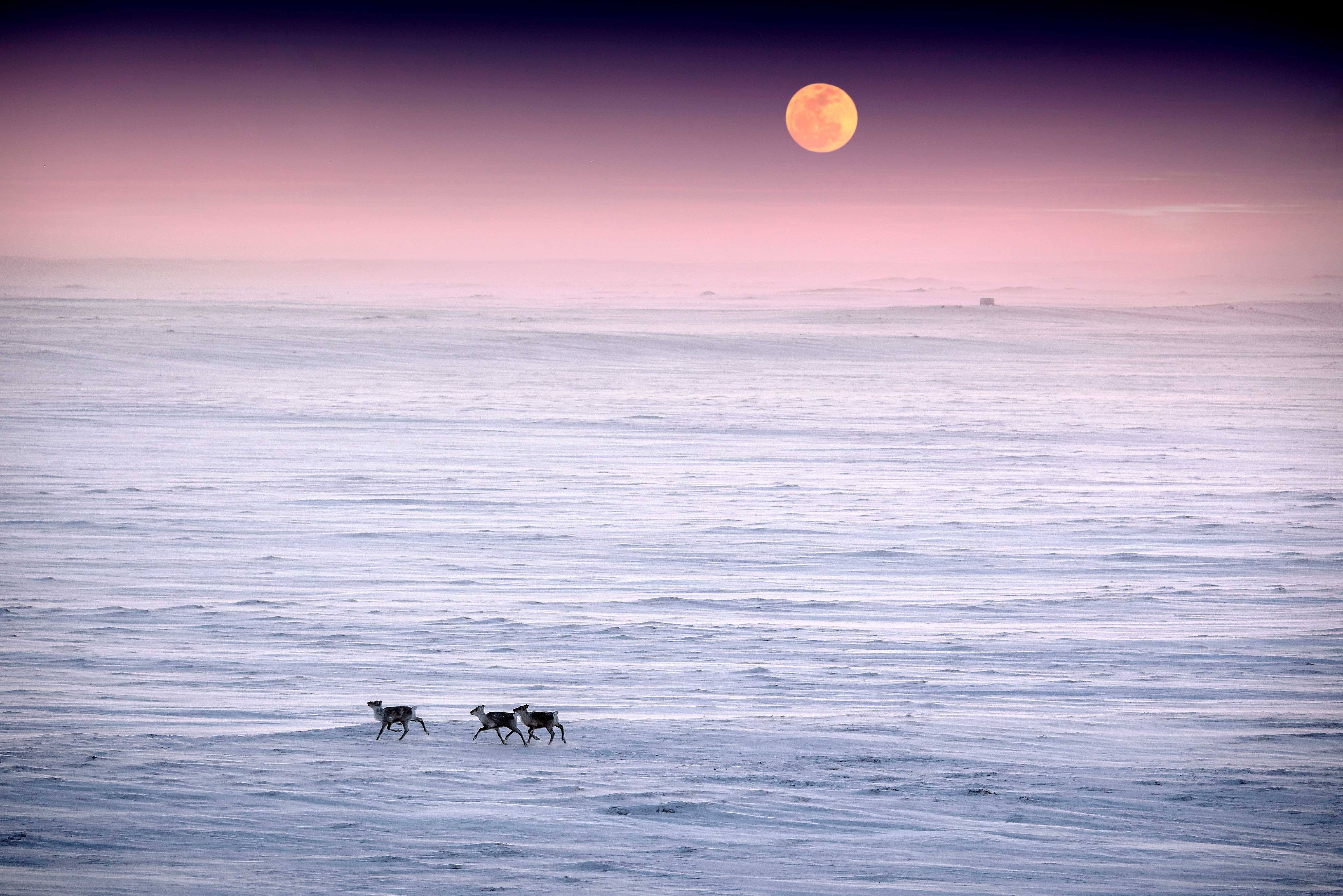 La photo la plus co&ucirc;teuse de ma carri&egrave;re