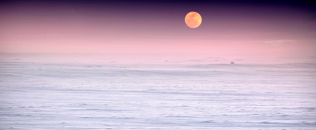 La photo la plus coûteuse de ma carrière
