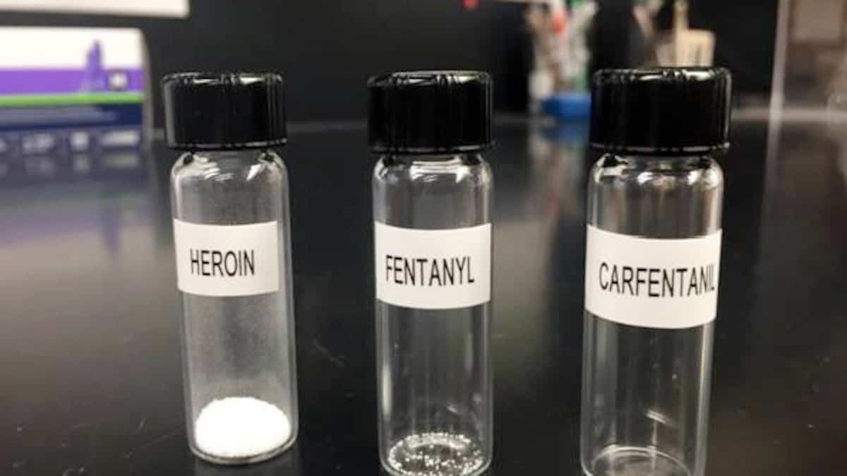 Un opioïde 100 fois plus puissant que le fentanyl trouvé à New York