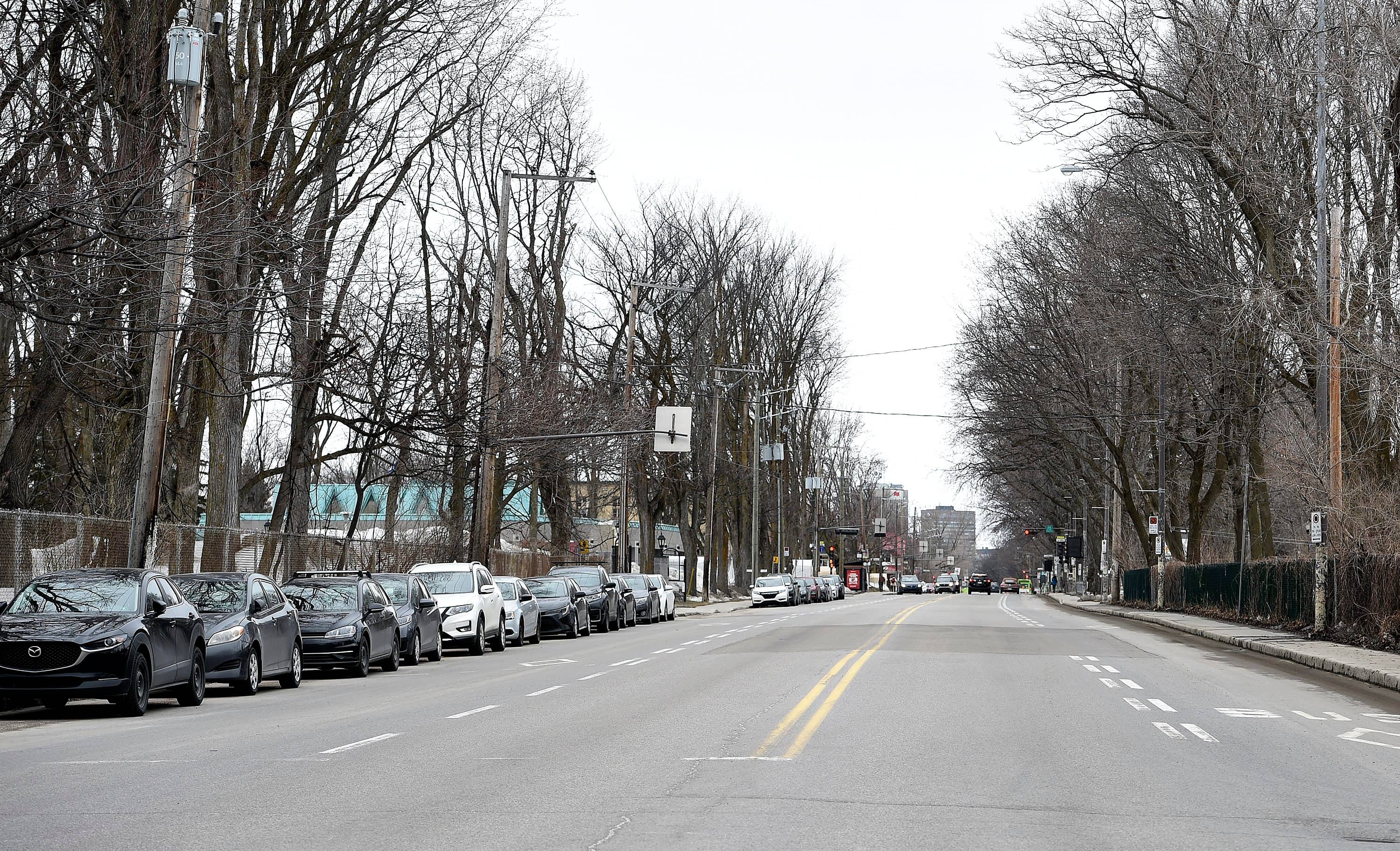 Tramway: l’abattage d’arbres sur René-Lévesque imminent