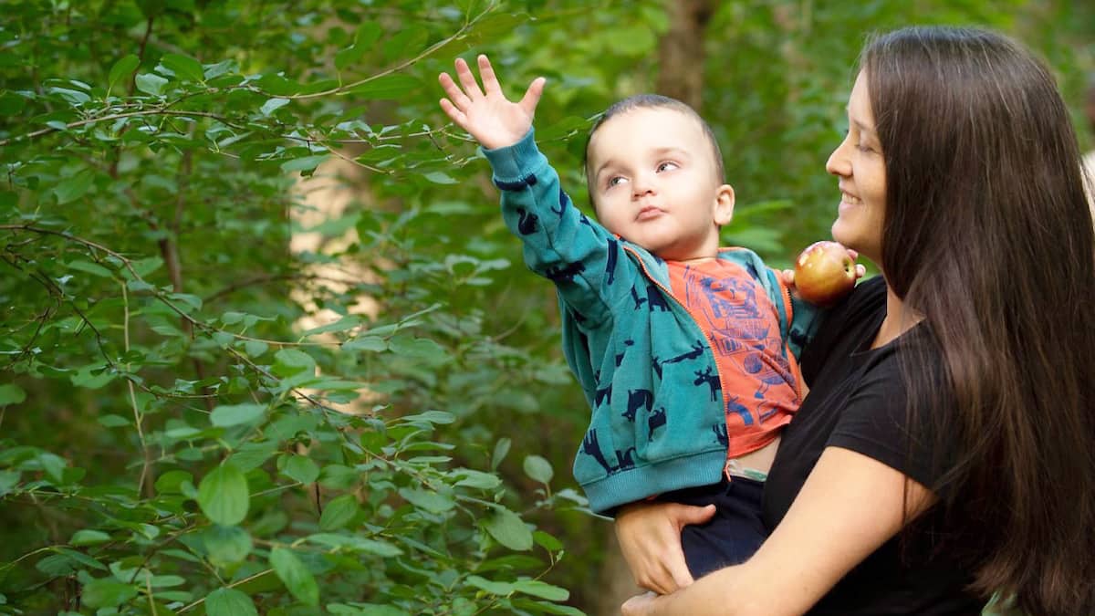 Une vie normale pour un cas rare de «bébé-bulle»