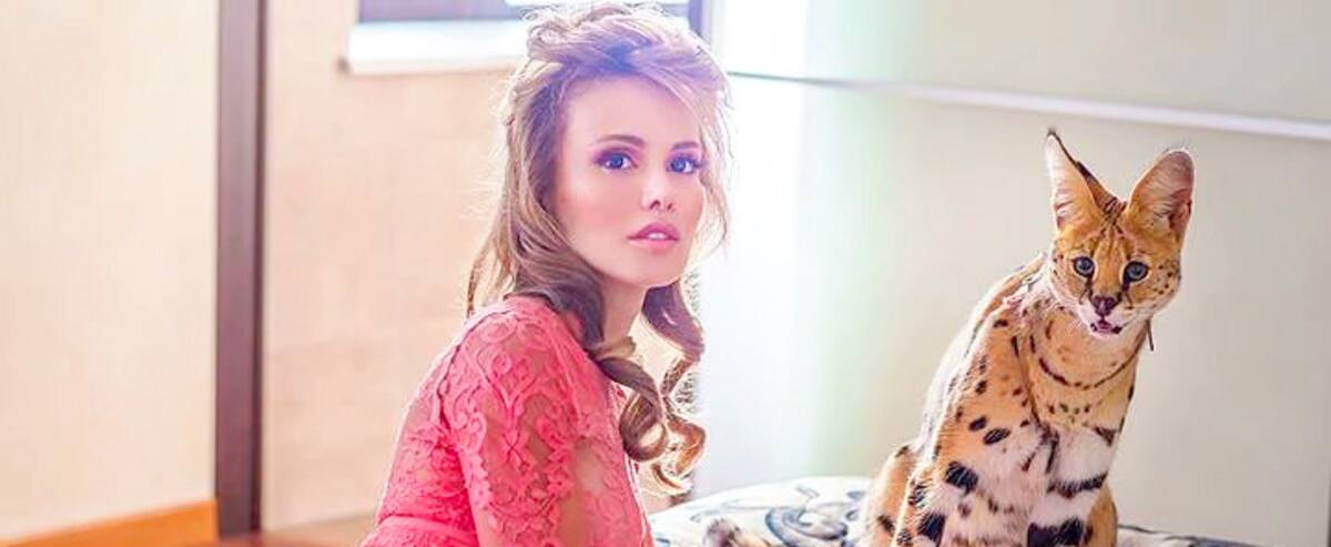 Qui sont les riches amis de Vladimir Poutine?